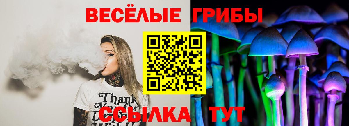 Березники  Псилоцибиновые грибы MAGIC MUSHROOMS  Вход с VPN 